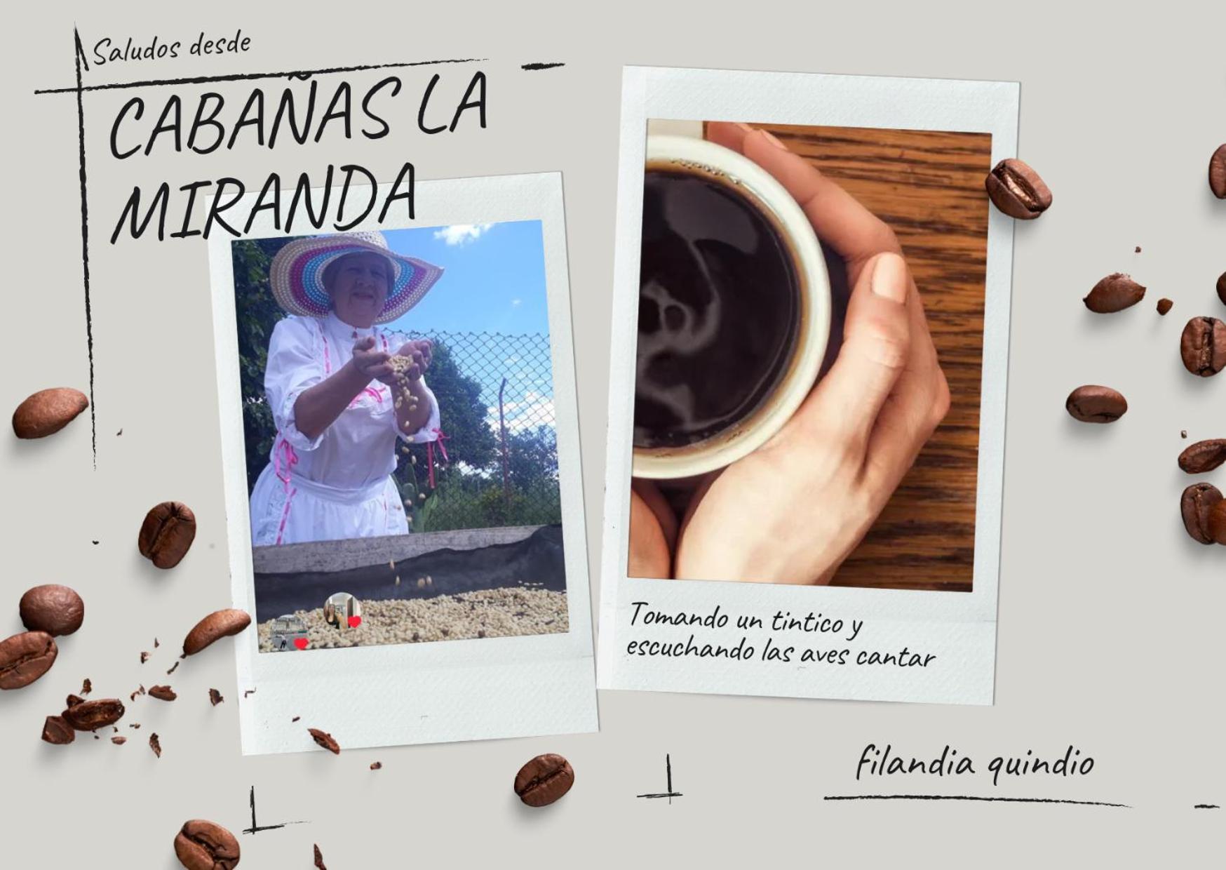 Cabanas La Miranda Filandia Eksteriør bilde